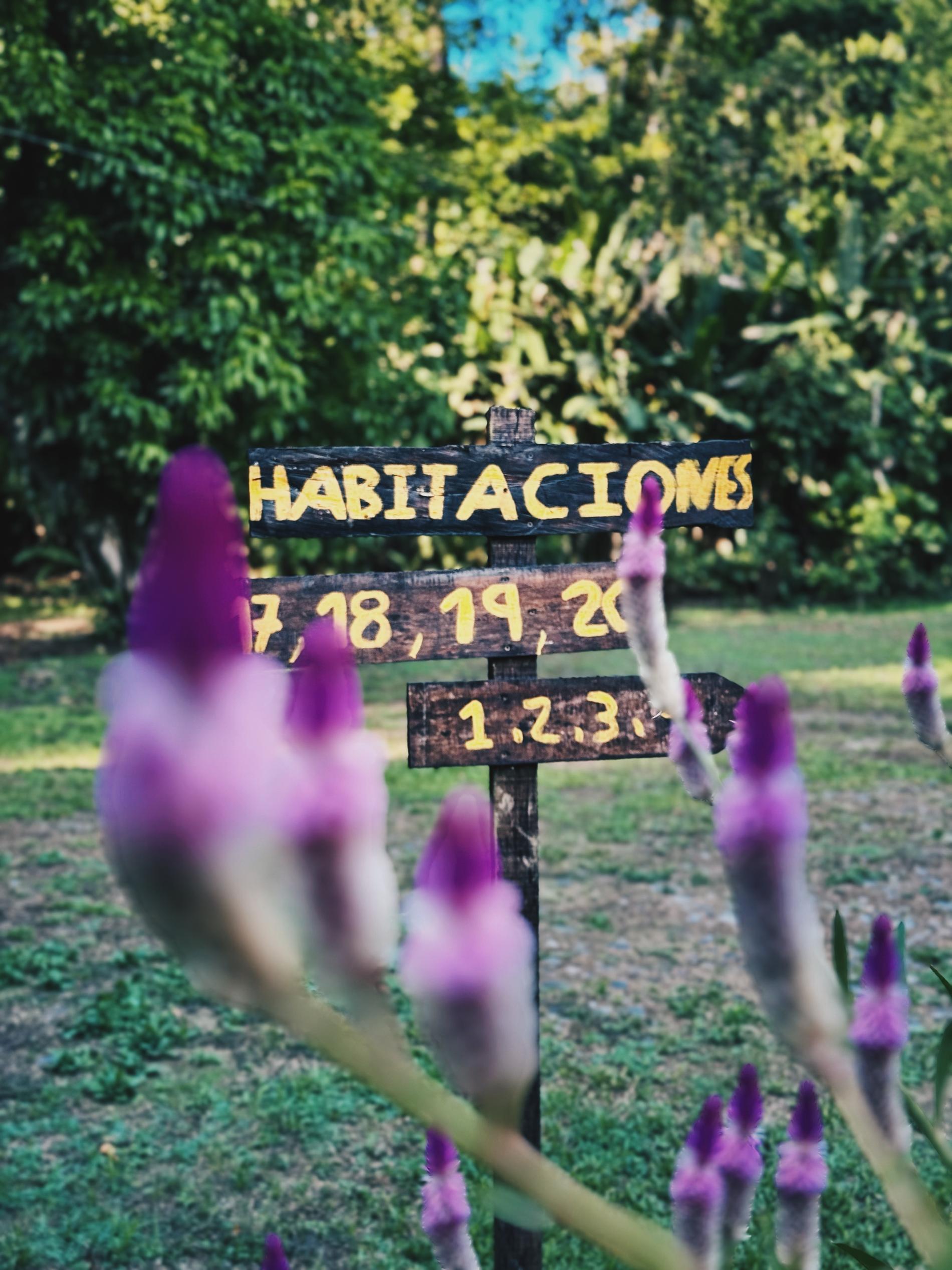 imagen cabezera hospedajes